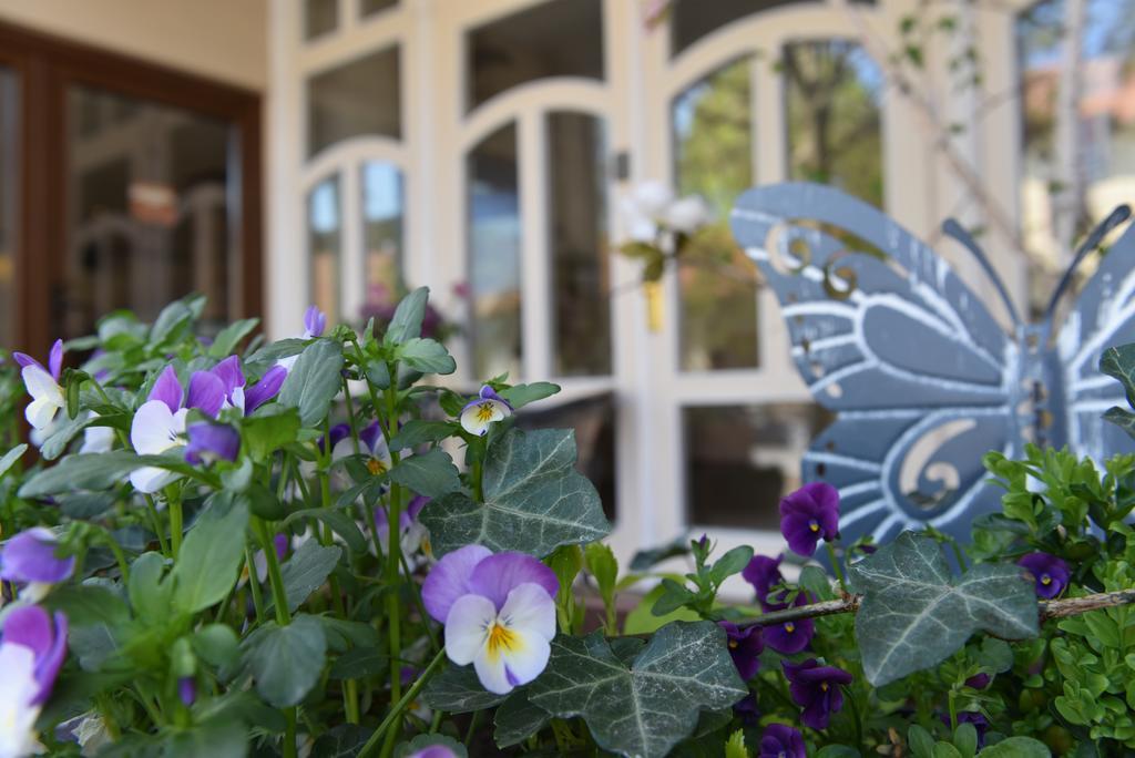 Guest House Romantika Panzio Дьюла Екстер'єр фото