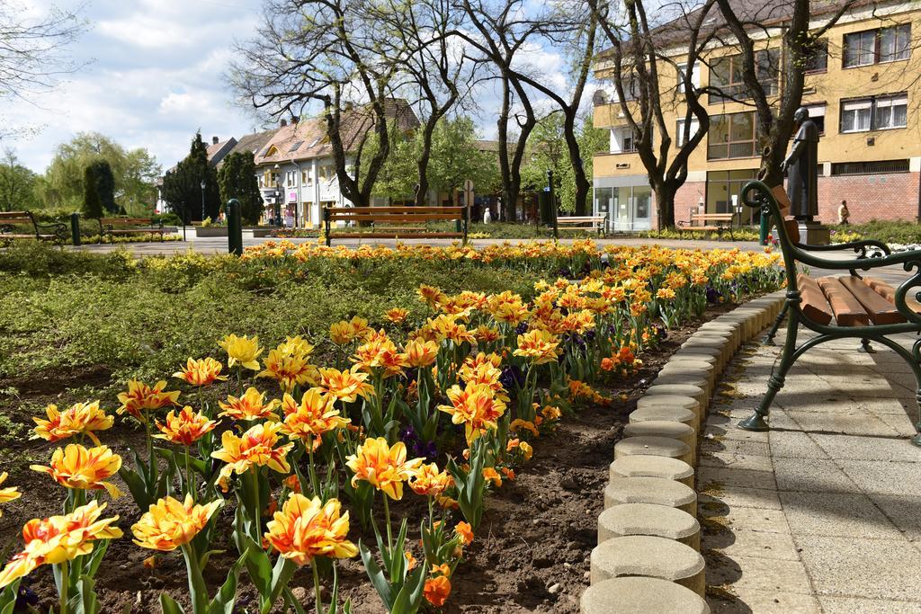 Guest House Romantika Panzio Дьюла Екстер'єр фото